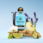 Aromatica Layton 2005