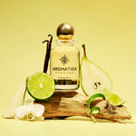 Aromatica Paradox 3603