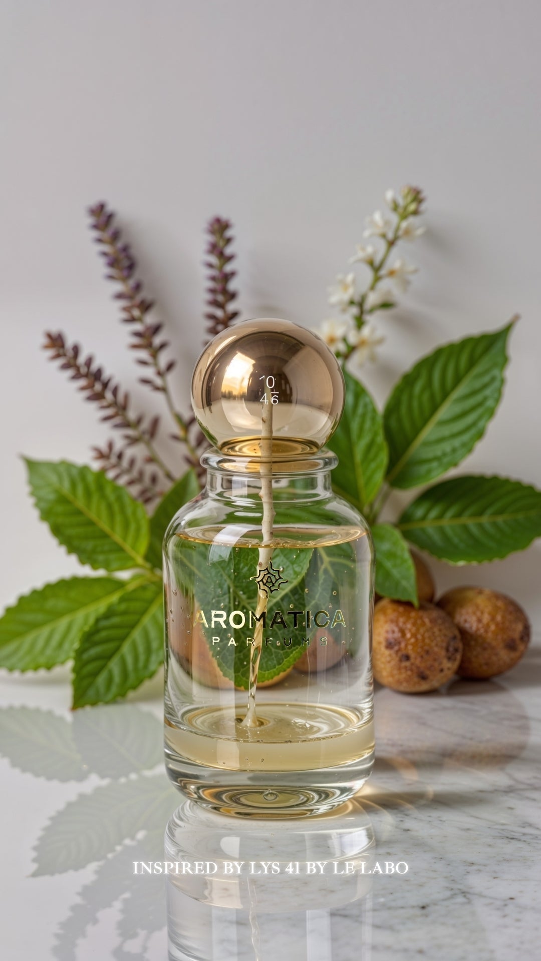 Aromatica Lys 2804