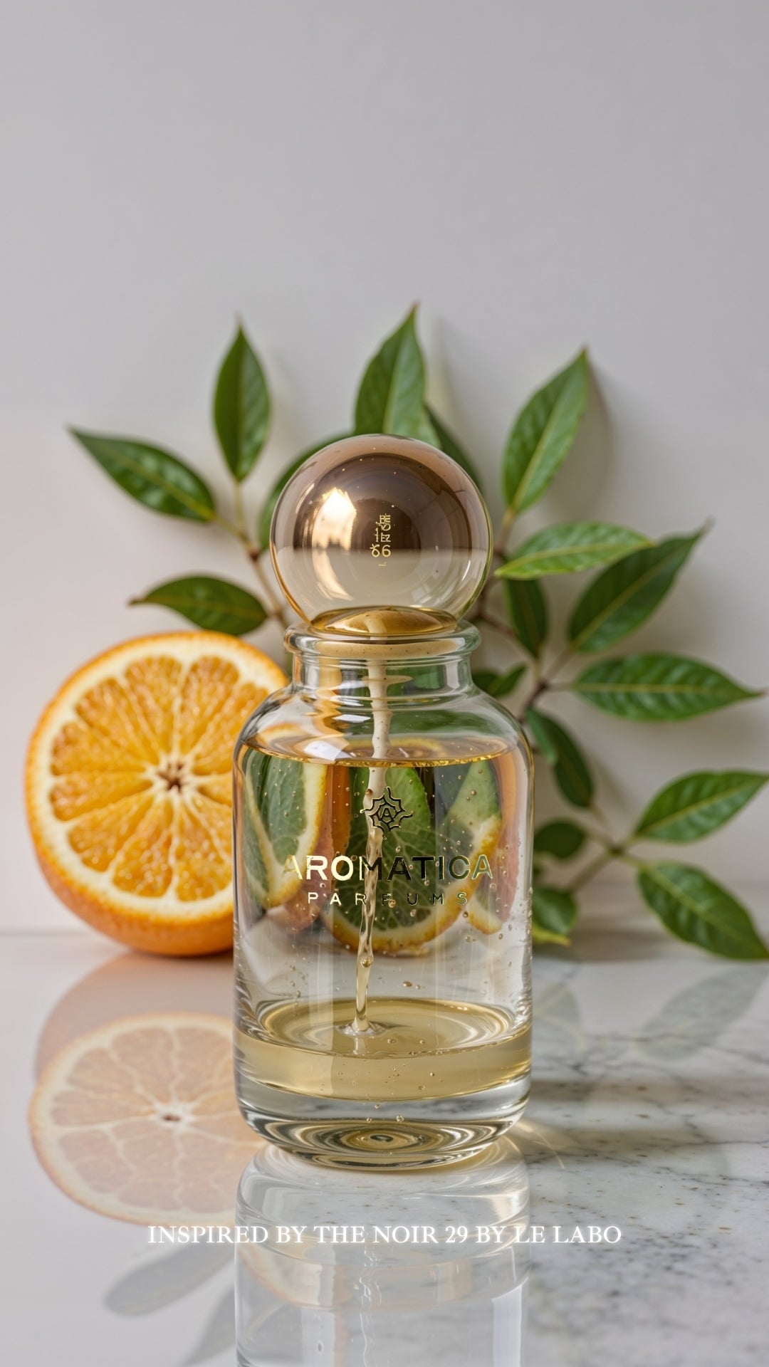 Aromatica Noir 2806