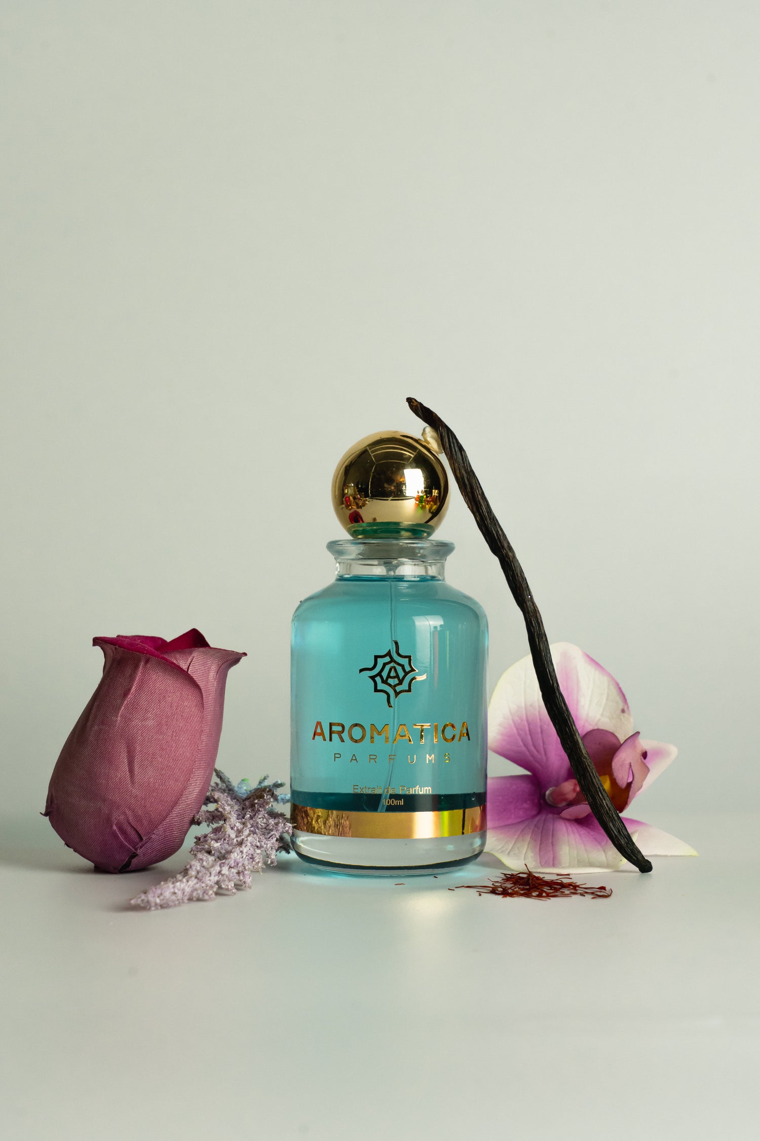 Aromatica Layton 2005