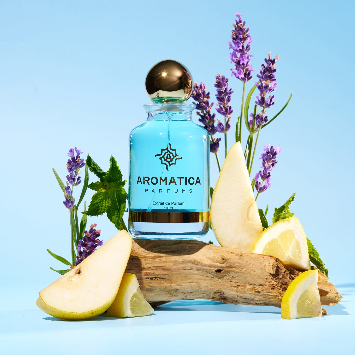 Aromatica Y 1101