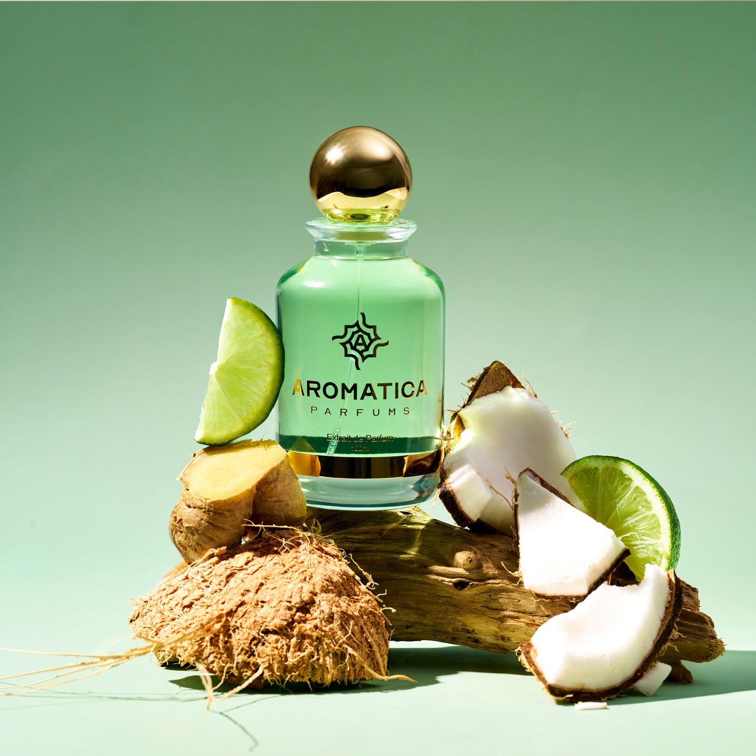 Aromatica Coconut Coast 3210
