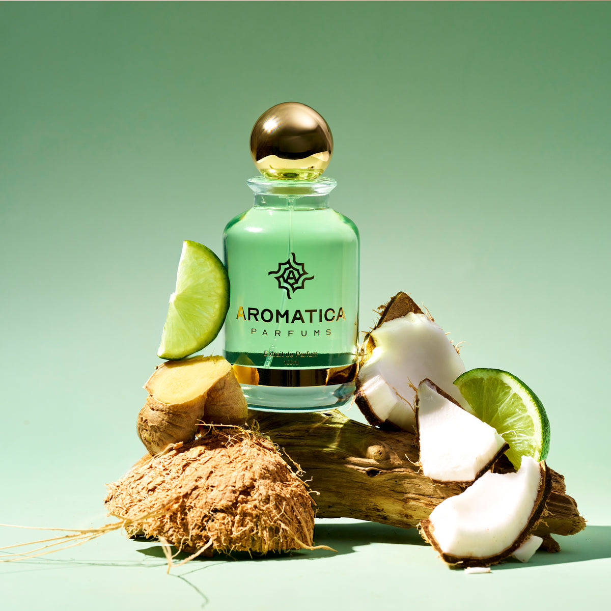 Aromatica Coconut Coast 3210
