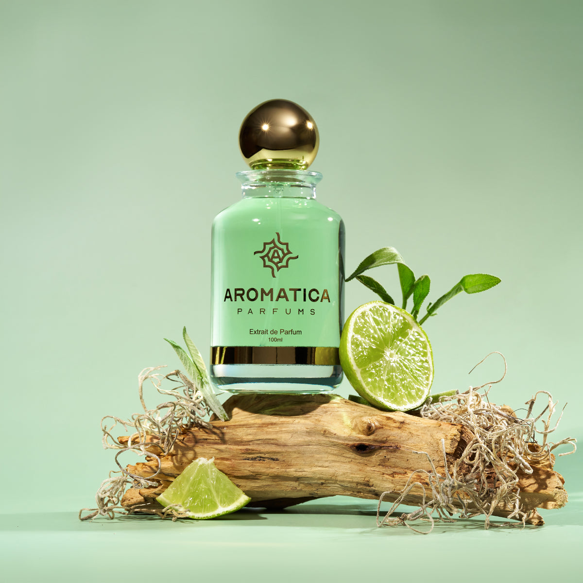 Aromatica Explorer 3902