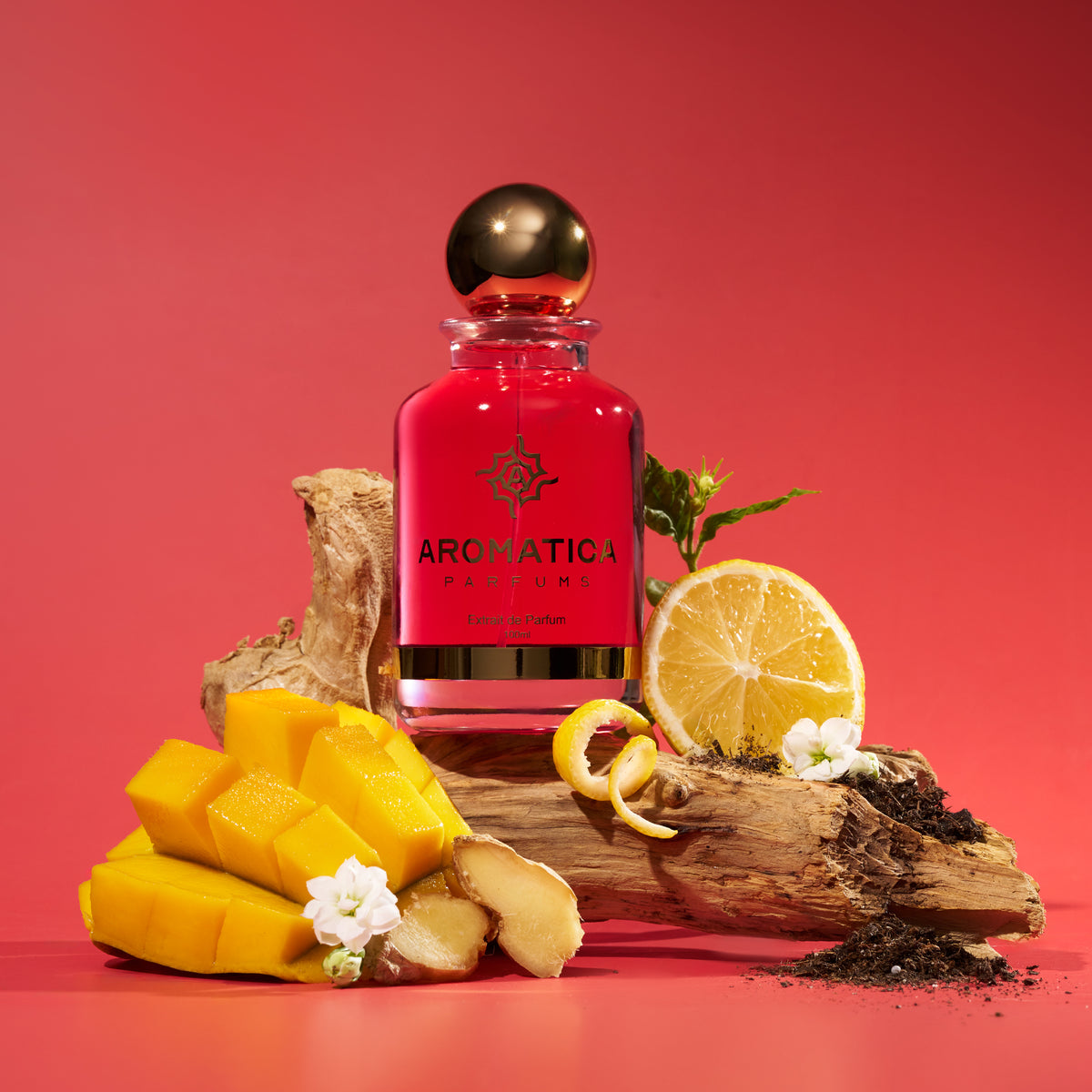 Aromatica Fire 6201