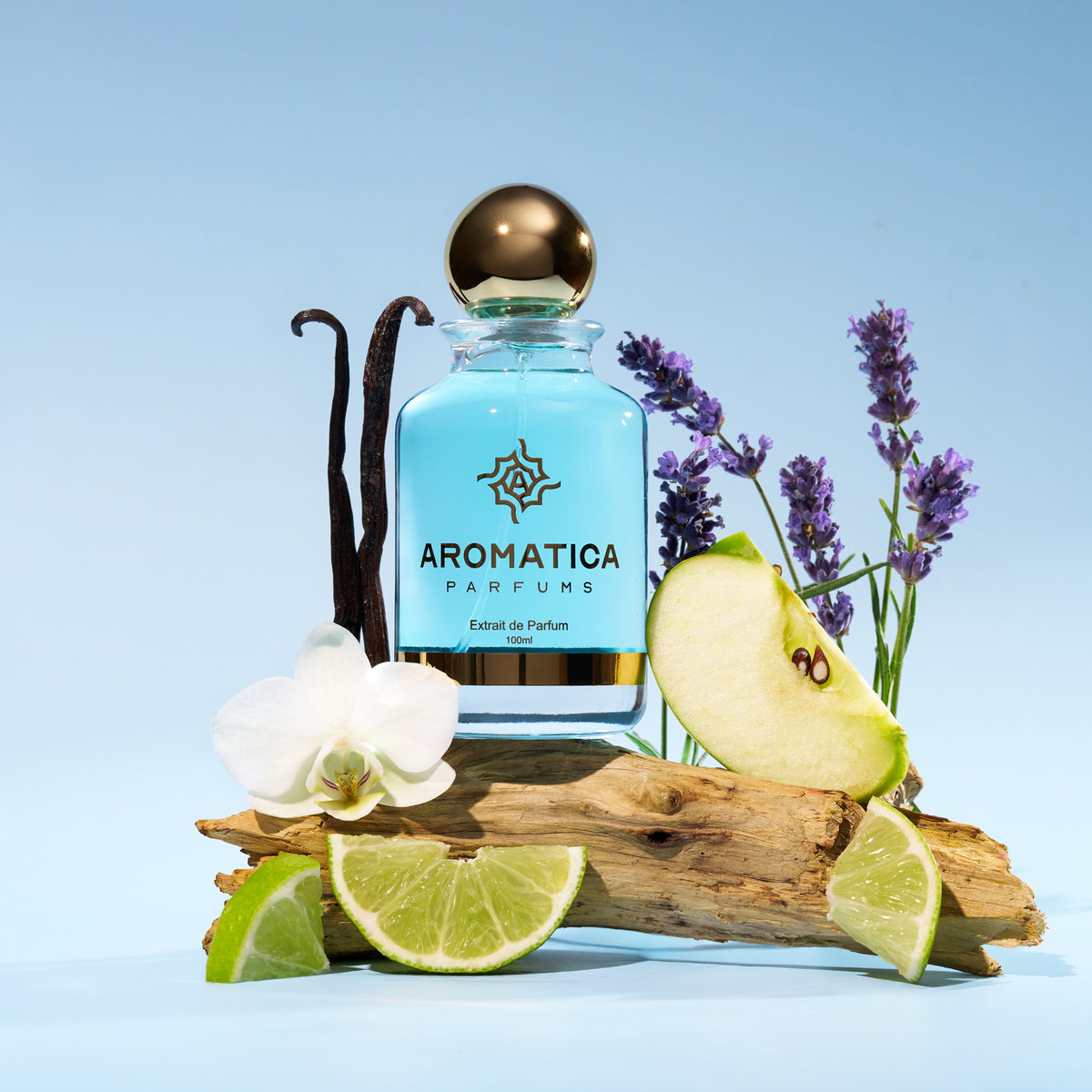 Aromatica Layton 2005