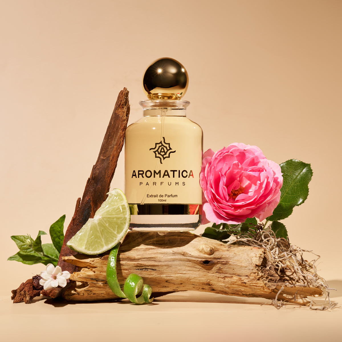 Aromatica No 5 3703