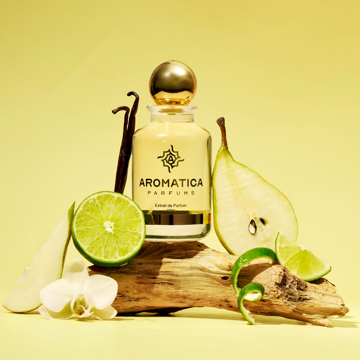 Aromatica Noir 6004