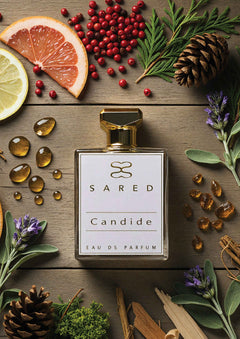 Candide