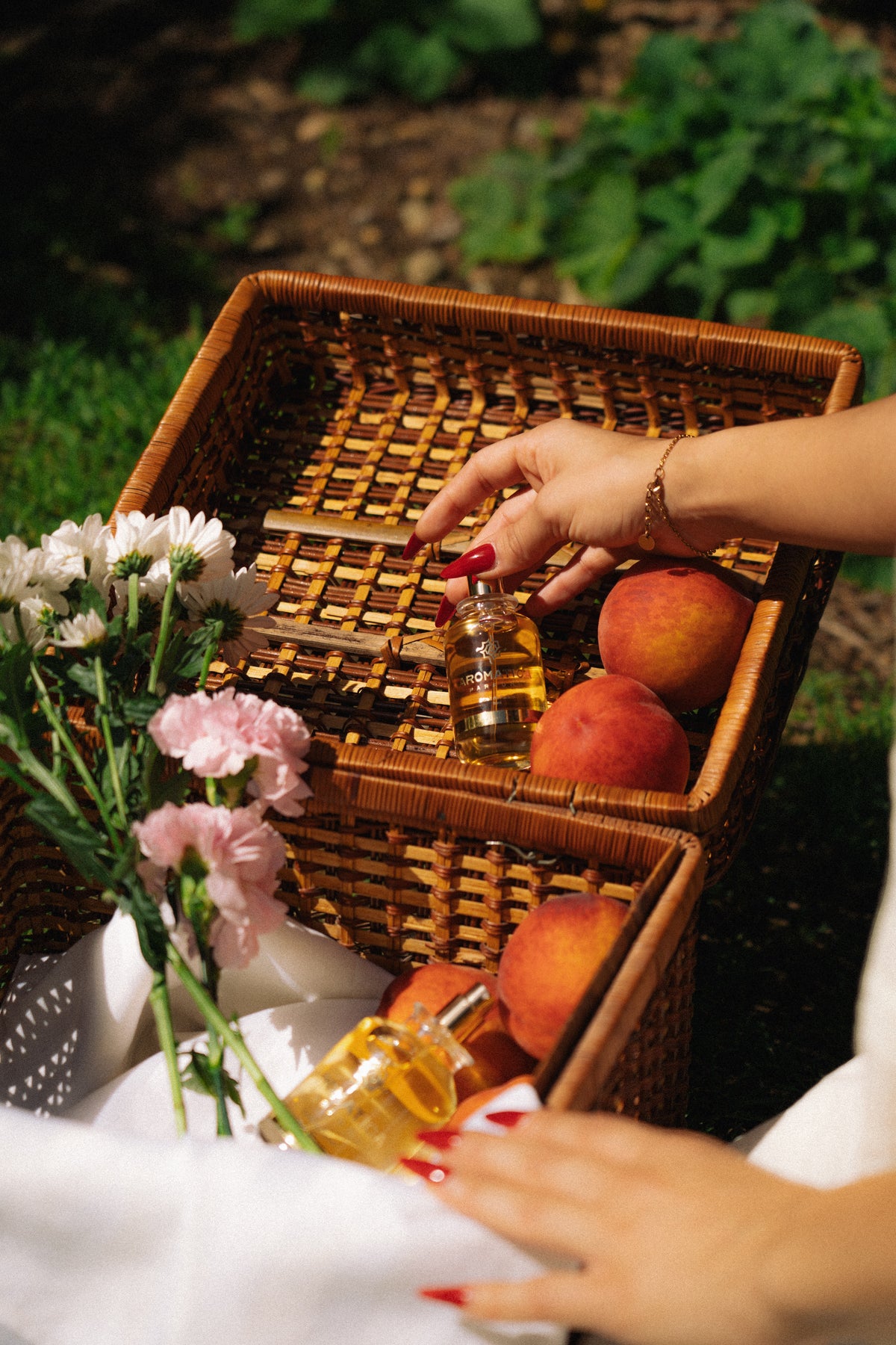 Aromatica perfume styled with woods and spices